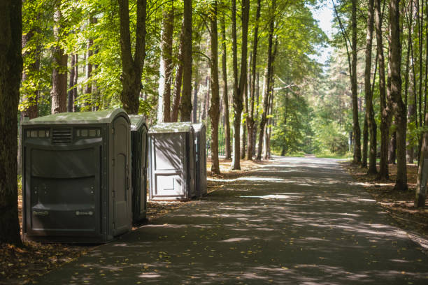 Best Affordable porta potty rental  in Montrose, MN